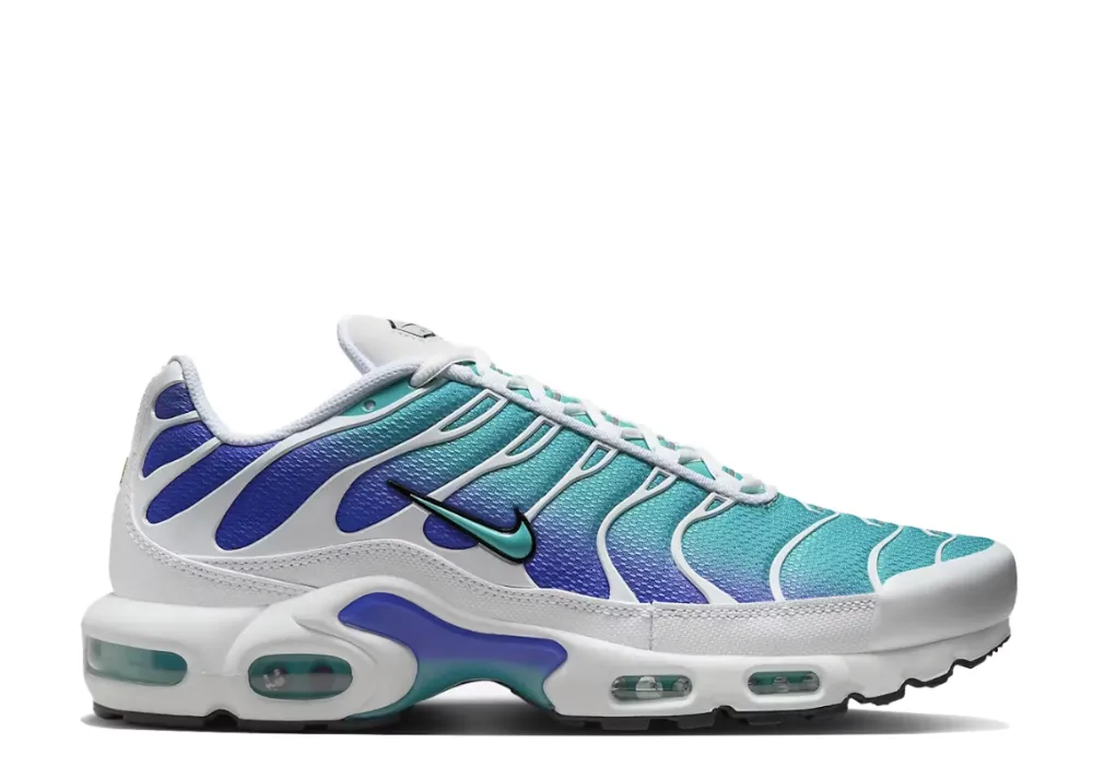 Nike Air Max Plus Aqua Mesh Upper Stylish