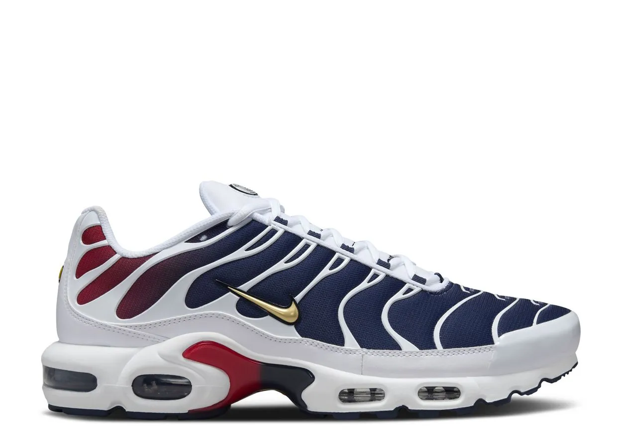 Comfortable Style Fashionable Fit Nike Air Max Plus PSG