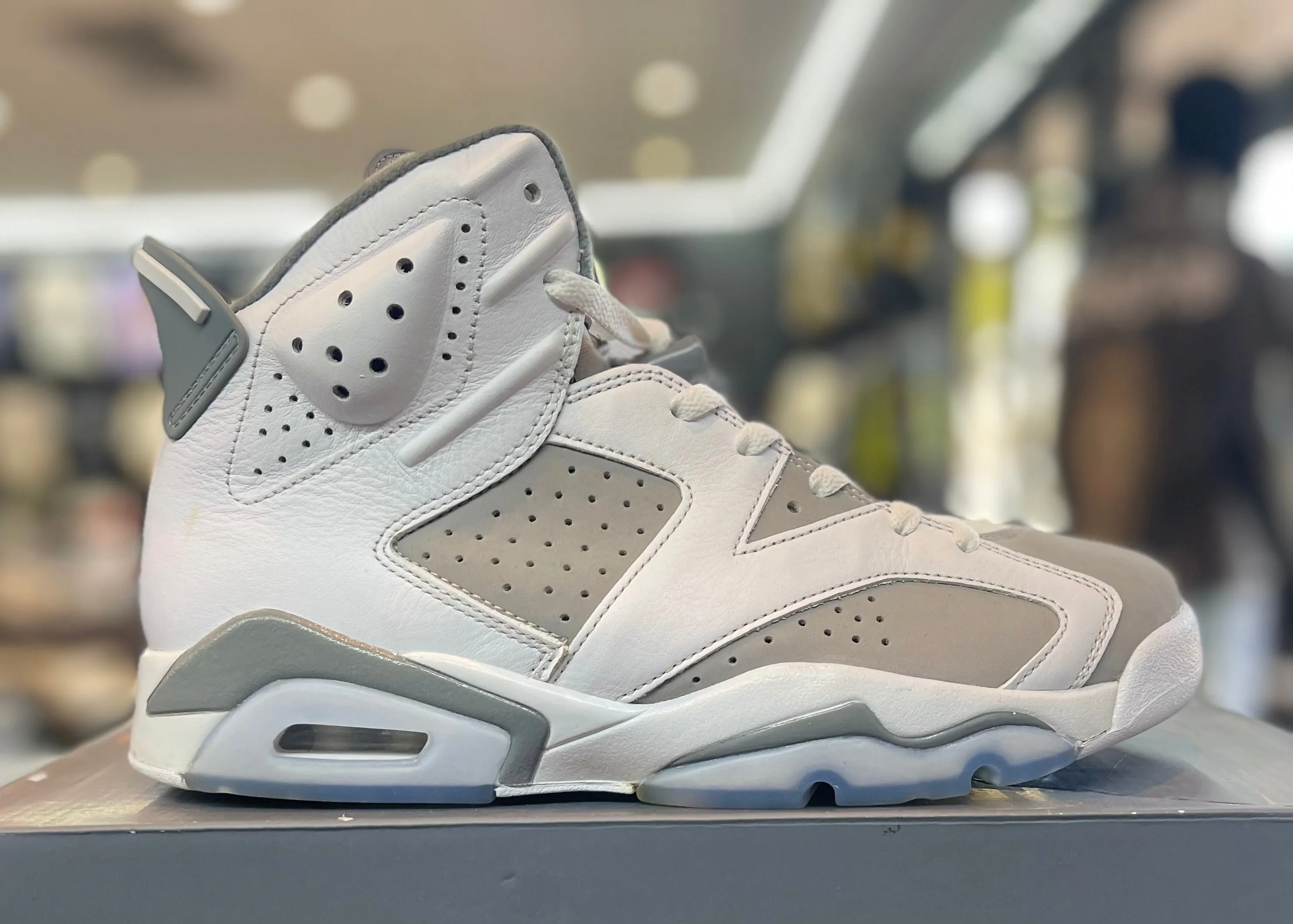Air Jordan Retro 6 ??Cool Grey?? *Preowned Size 10* Campus Tour Bare Feel