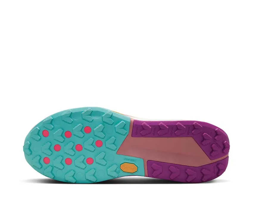 snow shoes Nike Zegama Trail 2
