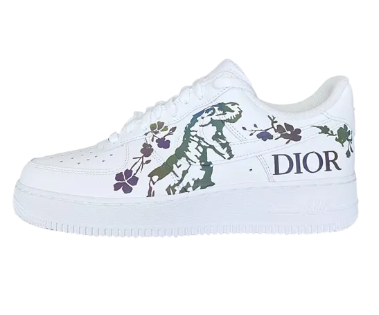 Street Cool Nike AF1 "Dior - Dinosaur" Custom