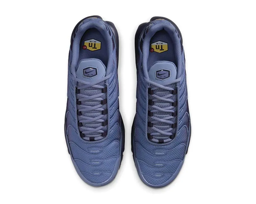 Nike Air Max Plus "World Indigo" Kick Hike Alley Run
