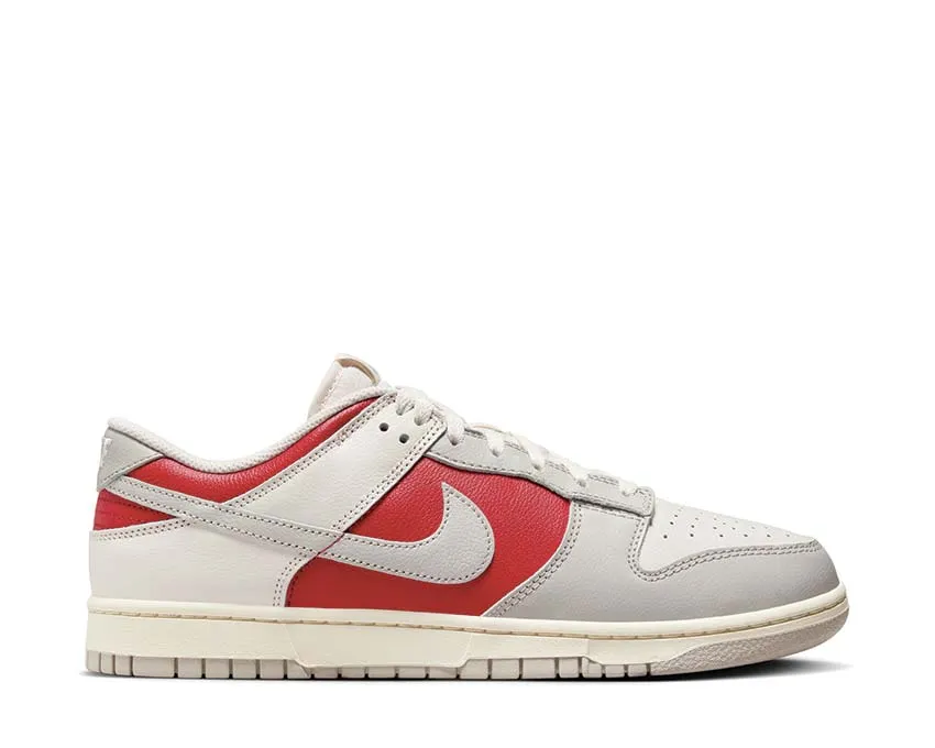 Nike Dunk Low Retro "Ivory Ultraman" Cloudy Step Rock Path