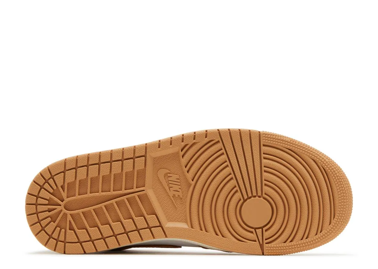 Park Fun Campus Tour Air Jordan 1 Retro High OG Praline