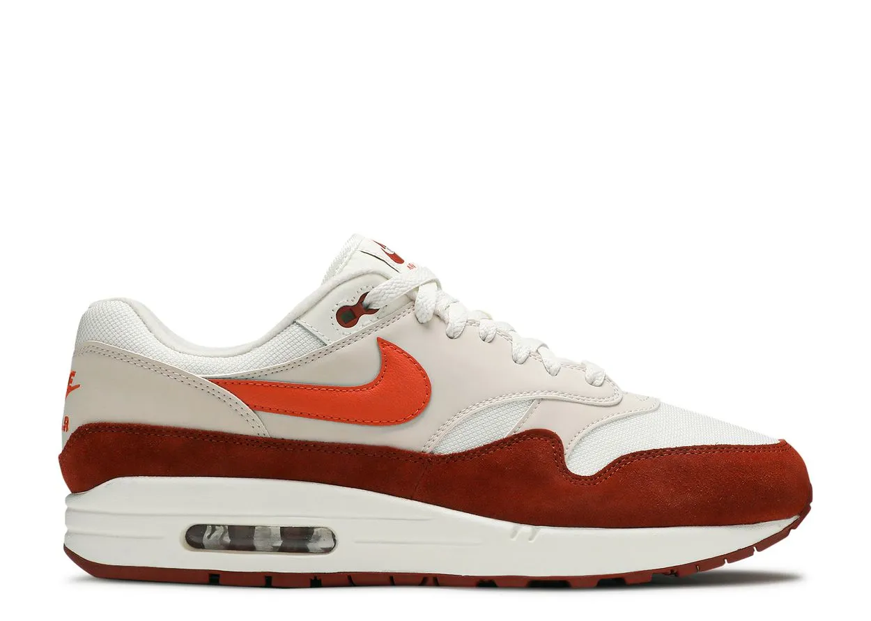 Catch Hike Nike Air Max 1 Mars Stone