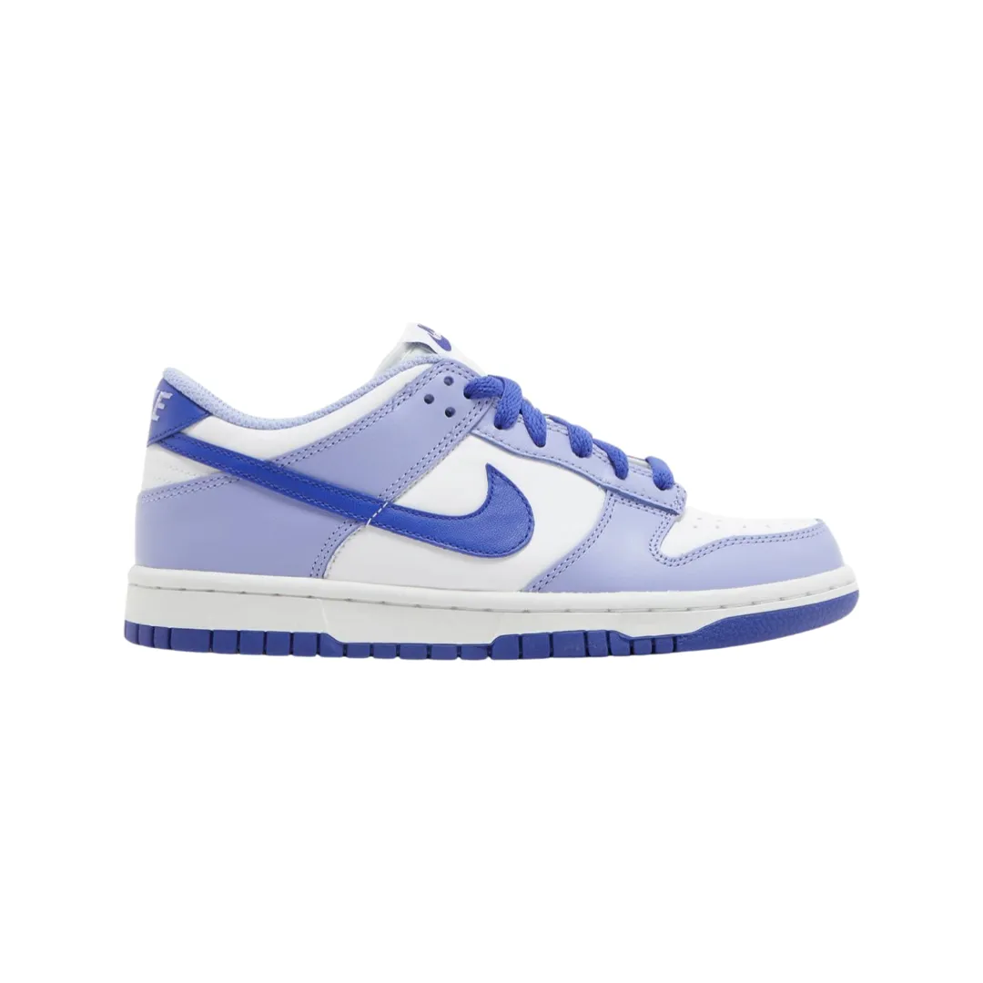 City Adventure Nike Dunk Low Blueberry (GS)