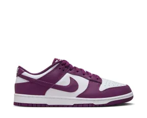Nike Dunk Low Retro Wearable Style