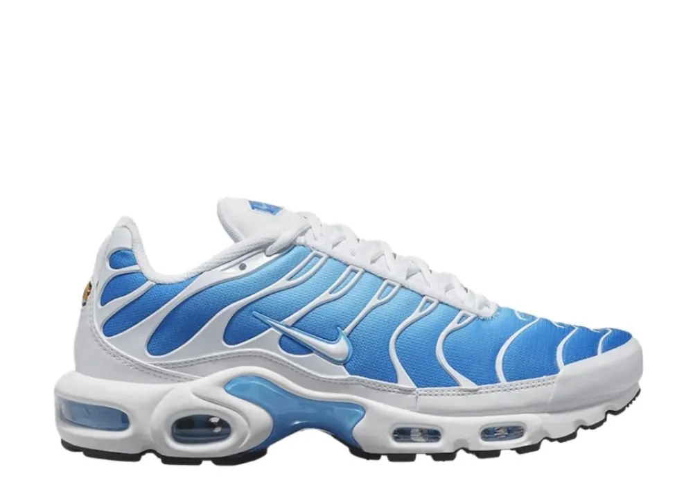 Nike Air Max Plus Sky Blue Clogs