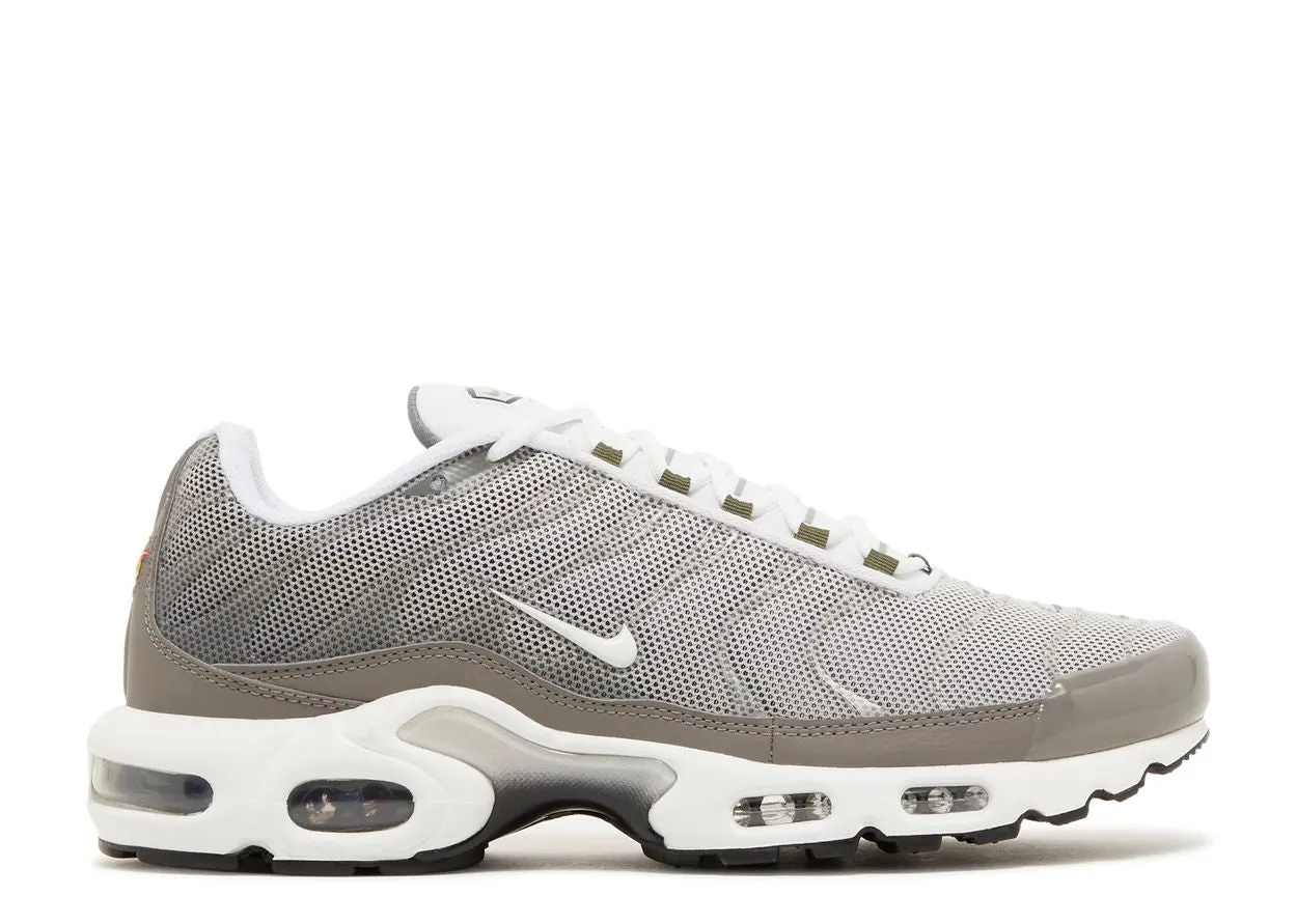 Simple Edge Link Walk Nike Air Max Plus Flat Pewter