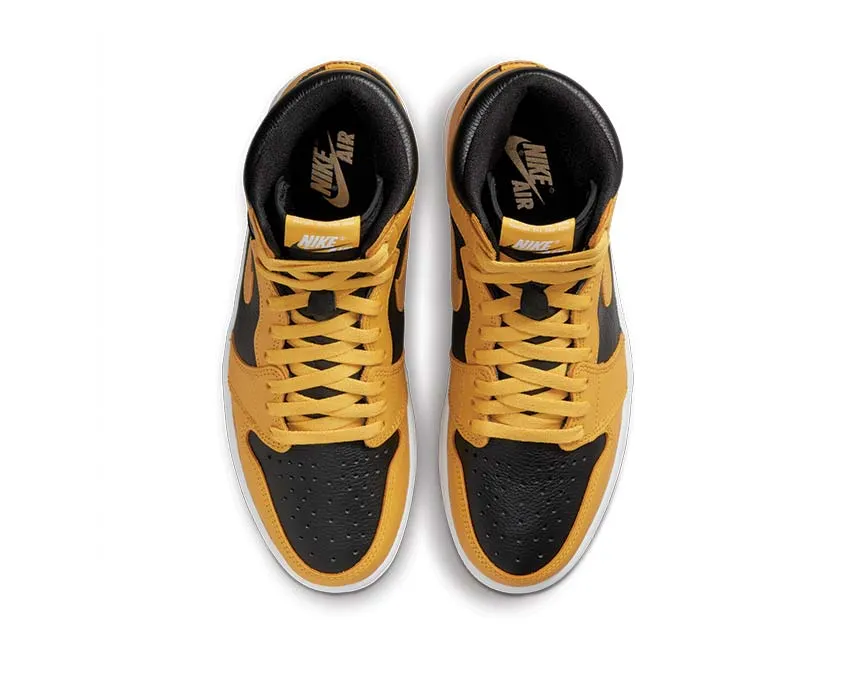 Air Jordan 1 Retro High OG Quick lace Coast Hike