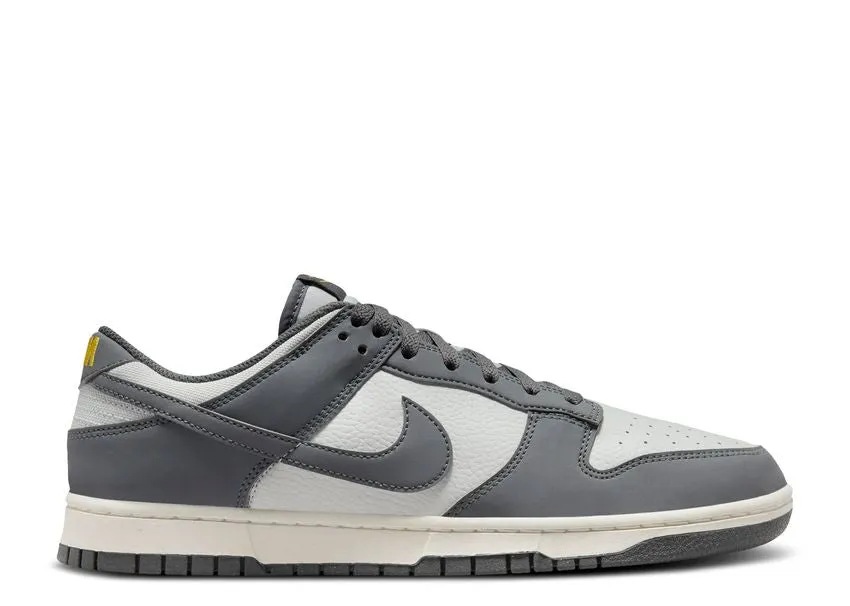 Flat footbed Nike Dunk Low Next Nature Iron Grey Lightning
