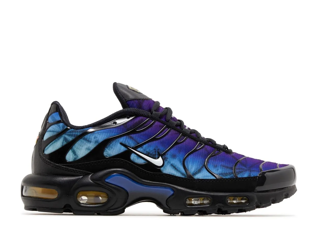 Youth Pick Nike Air Max Plus 25th Anniversary