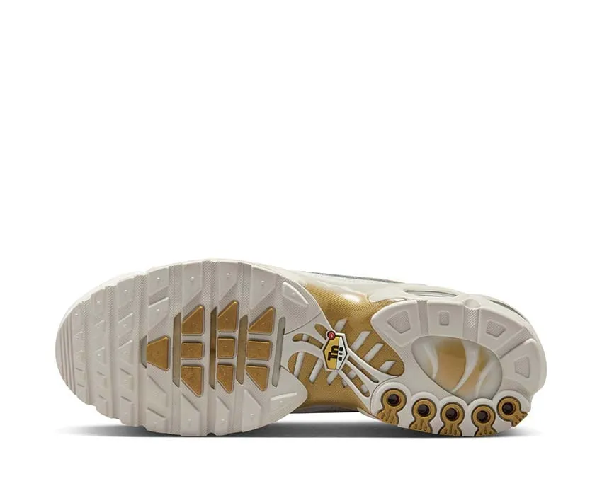 Pavement Ready Nike Air Max Plus "Tiempo"