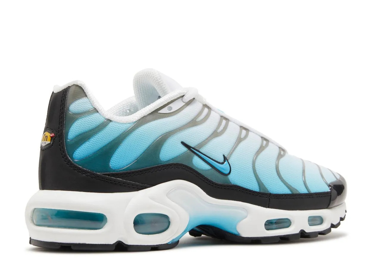 Easy Step Nike Air Max Plus Baltic Blue