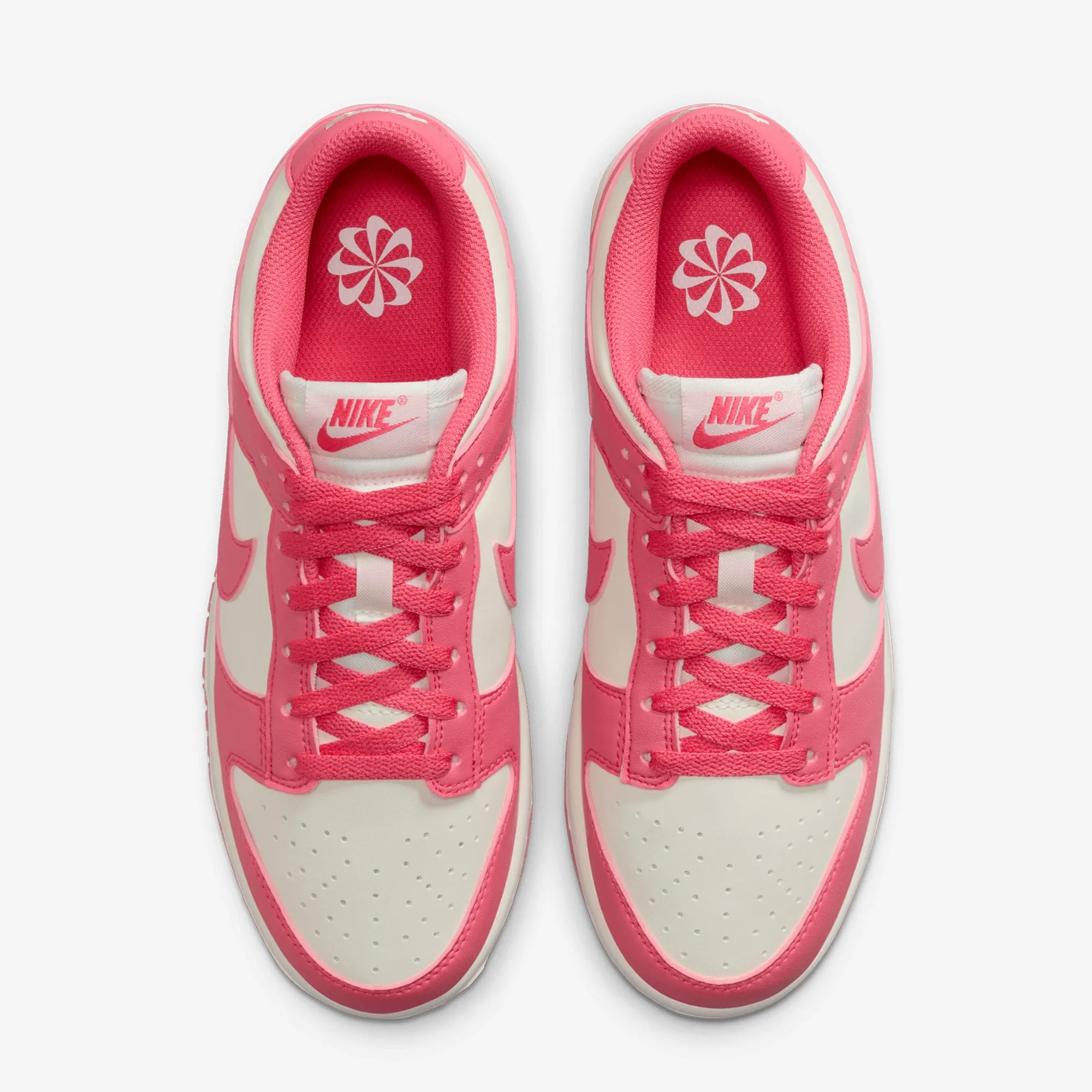 NIKE | DUNK LOW { ASTER PINK/ASTER PINK-SAIL waterproof