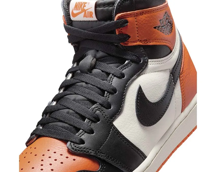 Leap Step Air Jordan 1 Retro High OG "Shattered Backboard"