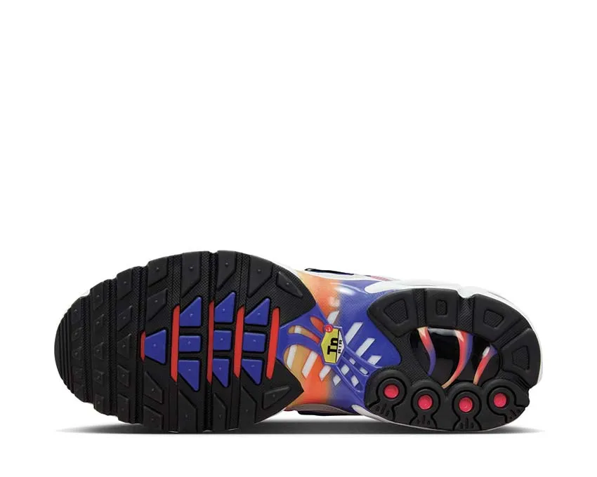 Sprint Run Nike Air Max Plus "Gradient"