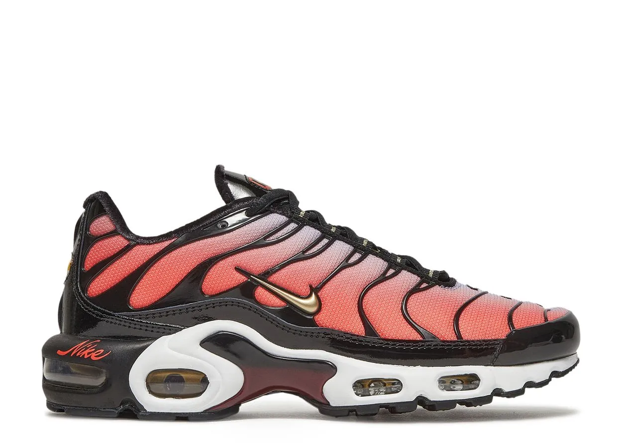 Indoor Ready Nike Air Max Plus Sisterhood