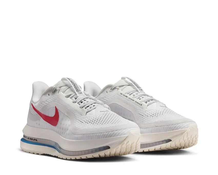 running with gloves cushioned - footbed shoes Nike Pegasus Premium W "Forest Gump"