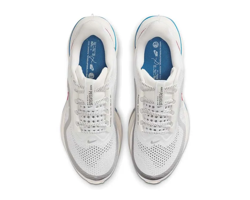 Foldable Design Nike Pegasus Premium W "Forest Gump"