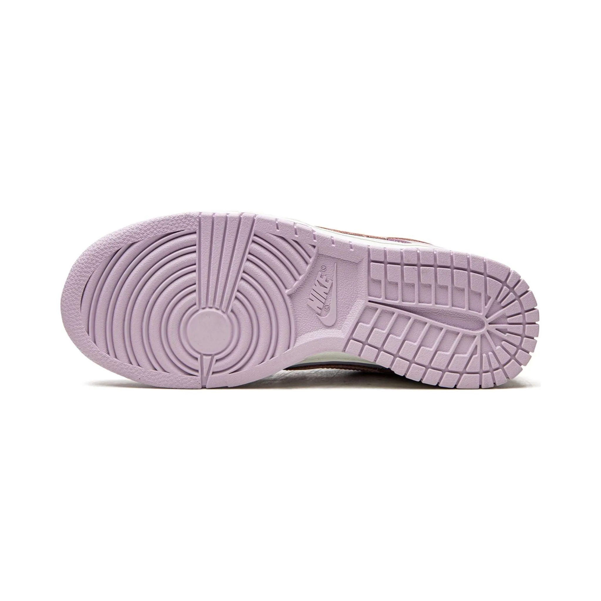 Storm Guard Gloss Finish Nike Dunk Low "Easter" (W)