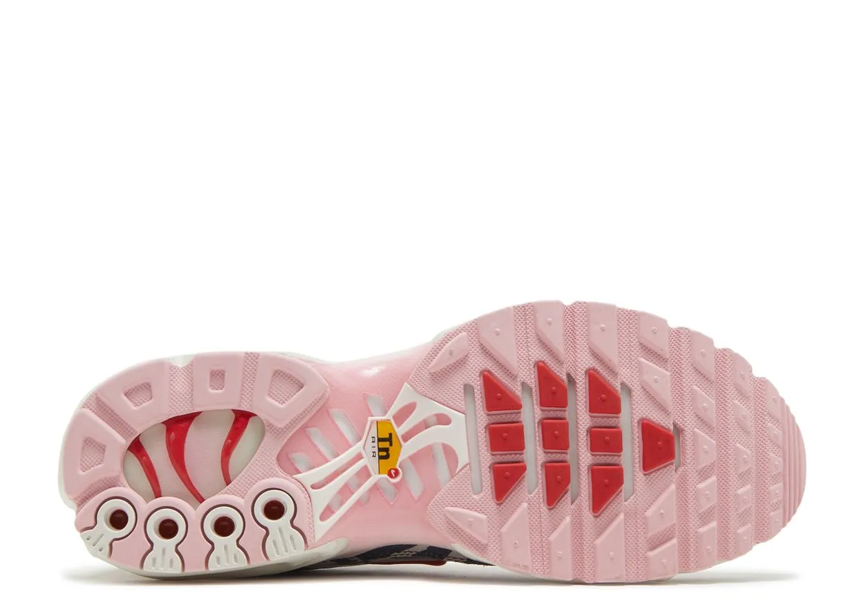 Smile Step Rock Path Nike Air Max Plus Animal Instinct