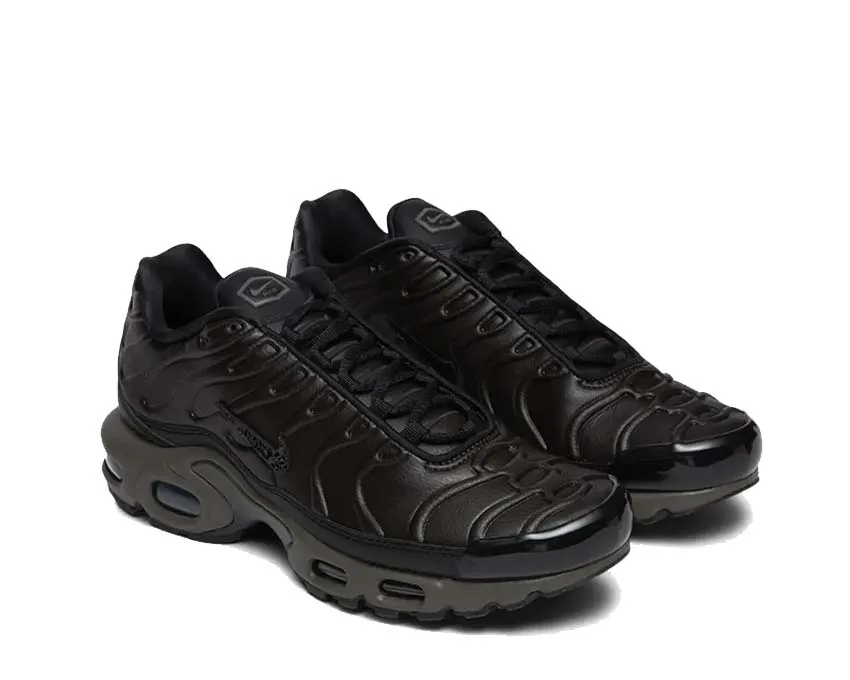 Nike Air Max Plus PRM QS "Paris" Easy Routine Bare Feel
