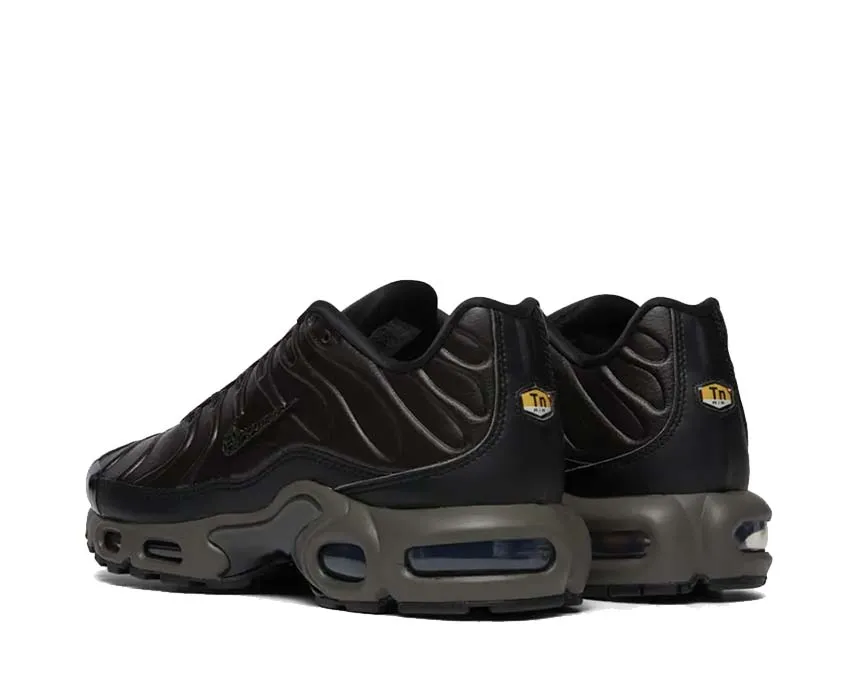 Harbor Step Vent Zones Nike Air Max Plus PRM QS "Paris"