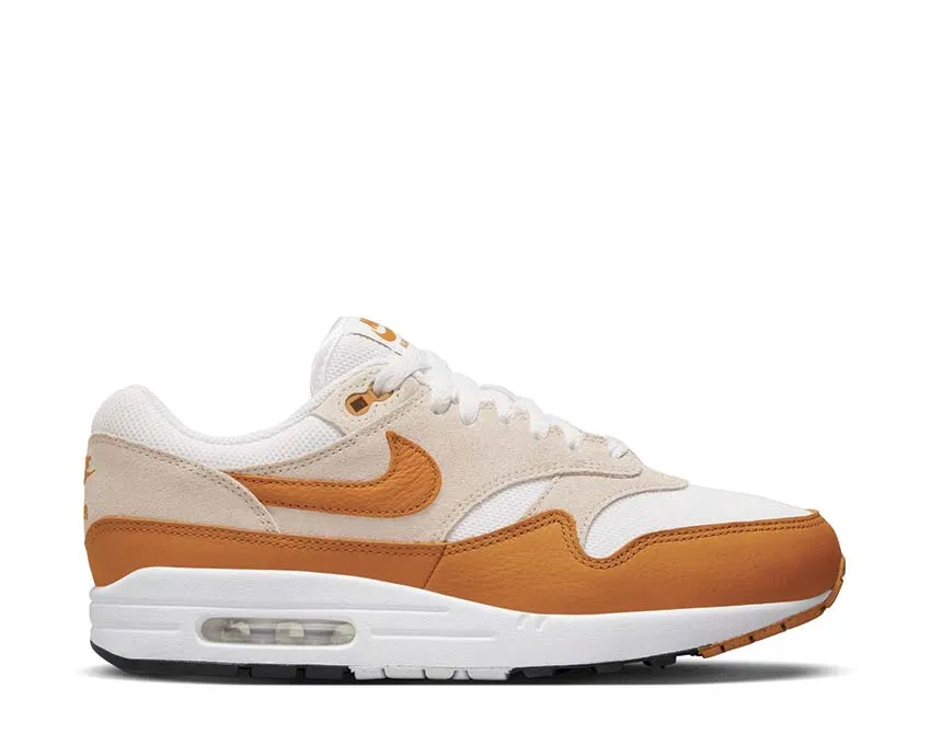 Urban Move Pro Outdoor Adventure Nike Air Max 1 SC