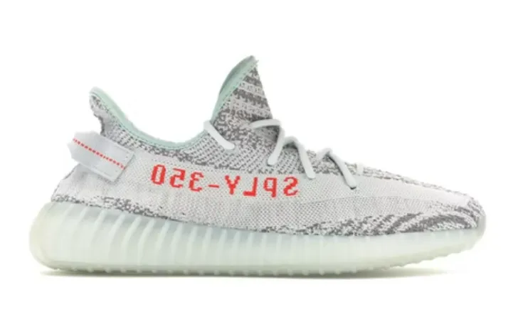 adidas Yeezy Boost 350 V2 Blue Tint Walk Gear