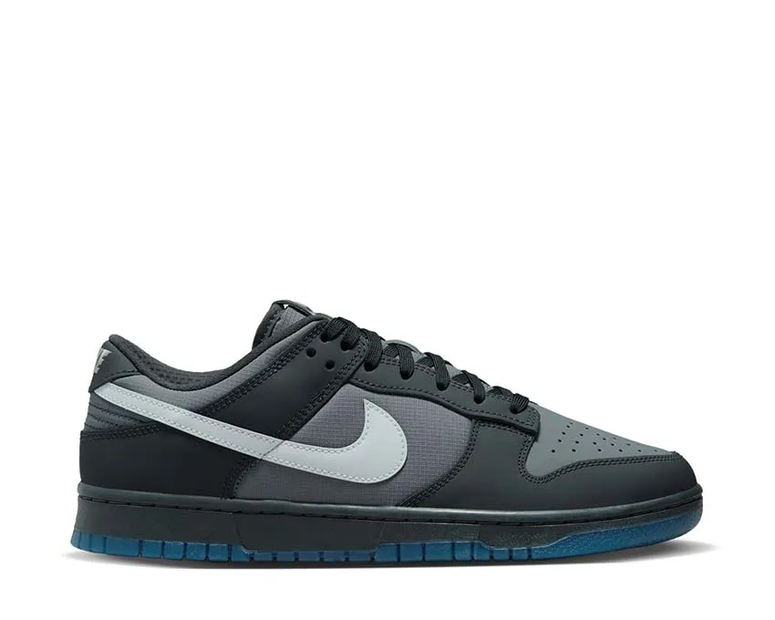 Nike Dunk Low "Anthracite" Street Movement Beach Friendly